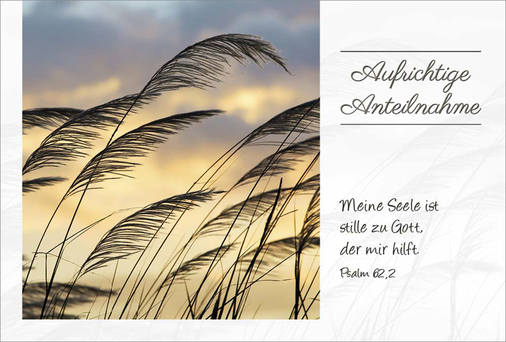 im stillen gedenken und aufrichtiger anteilnahme